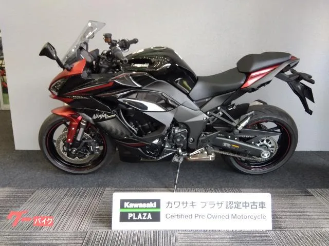 Kawasaki Ninja 1000 SX ETC2.0 2023 — миниатюра 2