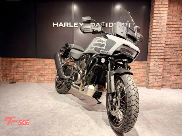 HARLEY-DAVIDSON 1250 HD Revolution Max1250 150 128Nm 2024 — миниатюра 2