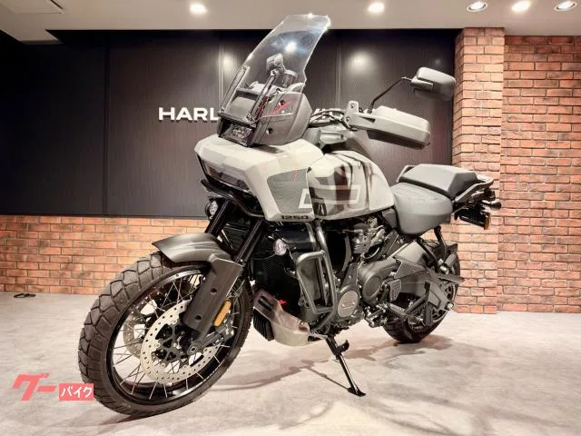 HARLEY-DAVIDSON 1250 HD Revolution Max1250 150 128Nm 2024 — миниатюра 5