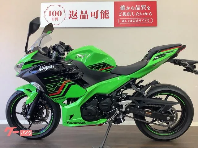 Kawasaki Ninja 250 KRT ABS EX250Y 2023 — миниатюра 3