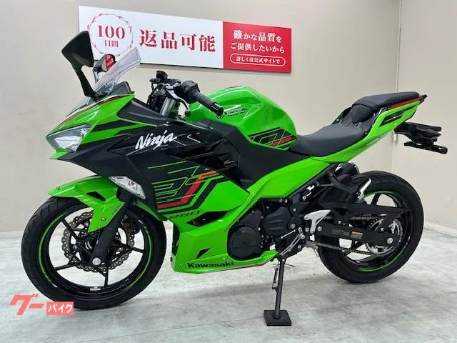 Kawasaki Ninja 250 KRT 2023 — миниатюра 3