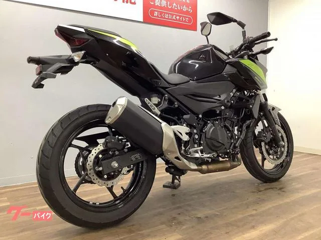 Kawasaki Z250 2022 — миниатюра 5