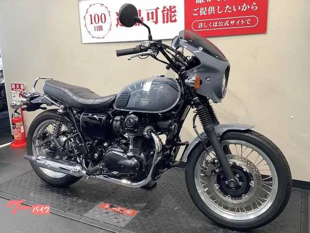 Kawasaki W800 //ETC 2023 — миниатюра 5