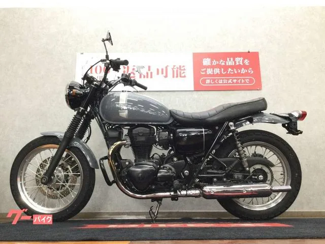 Kawasaki W800 EJ800E 2023 — миниатюра 3