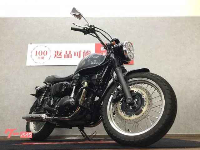 Kawasaki W800 EJ800E 2023 — миниатюра 4