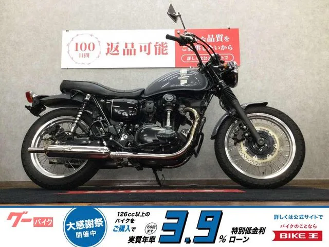 Kawasaki W800 EJ800E 2023 — фото 1, купить с доставкой в Москву