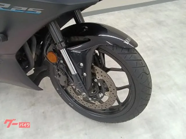 Yamaha YZF-R25/ABS/RG74J /ABS/C/ 2023 — миниатюра 3