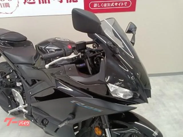 Yamaha YZF-R25/ABS/RG74J /ABS/C/ 2023 — миниатюра 5