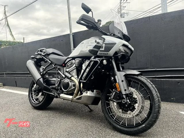 HARLEY-DAVIDSON 1250 6.8TFT 2024 — миниатюра 2