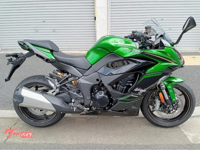 Kawasaki Ninja 1100 SX SE ABS USB-C 2025 — фото 1, купить с доставкой в Москву