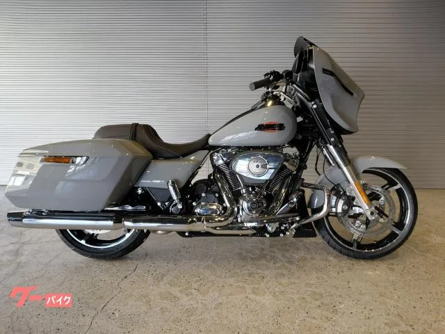 HARLEY-DAVIDSON FLHX 2024 — фото 1, купить с доставкой в Москву