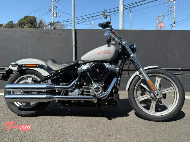 HARLEY-DAVIDSON FXST ABS 2024 — фото 1, купить с доставкой в Москву