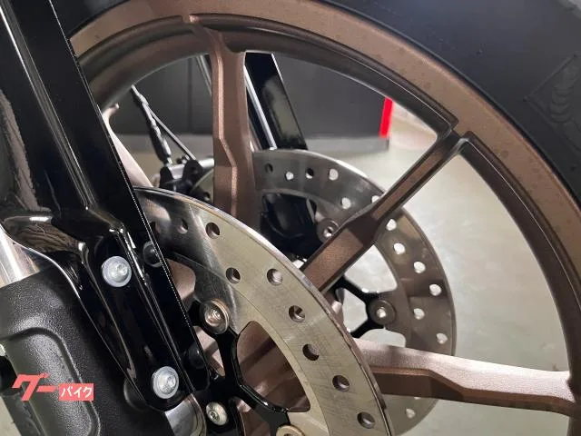 HARLEY-DAVIDSON FXLRS S 1920cc 117ci 2 LED 2023 — миниатюра 4
