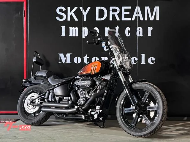 HARLEY-DAVIDSON FXBBS 114 114ci 1860cc 2 COBRA LED ETC 2023 — фото 1, купить с доставкой в Москву