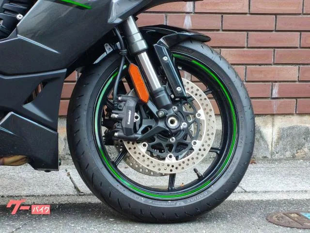 Kawasaki Ninja 1100 SX 2025 — миниатюра 2