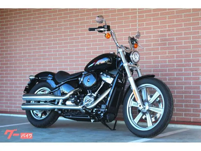 HARLEY-DAVIDSON FXST 202812 2023 — фото 1, купить с доставкой в Москву
