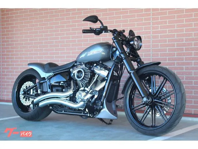 HARLEY-DAVIDSON FXBRS 114 2022 — фото 1, купить с доставкой в Москву