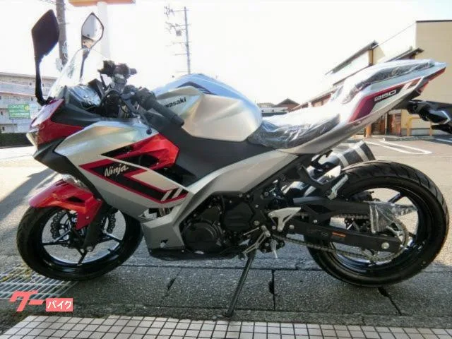 Kawasaki Ninja 250 2026 2026 — миниатюра 2