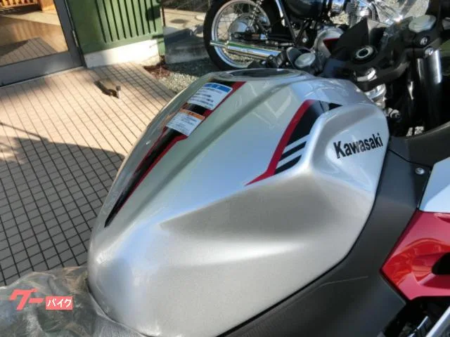Kawasaki Ninja 250 2026 2026 — миниатюра 3