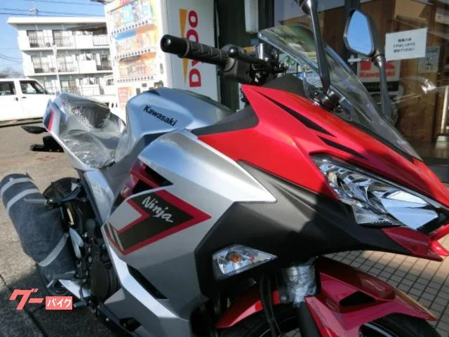 Kawasaki Ninja 250 2026 2026 — миниатюра 5