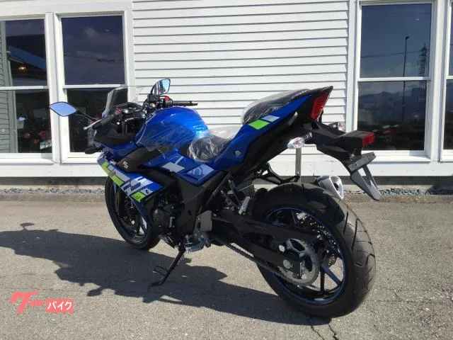 Suzuki GSX250R 2024 — миниатюра 3