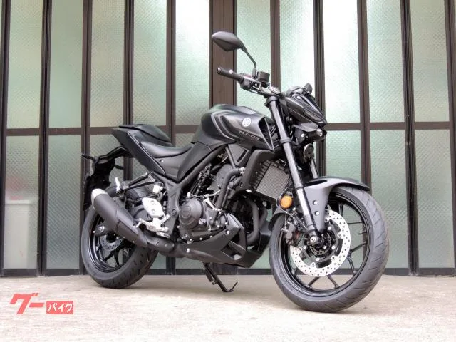 Yamaha MT-03(320cc) RH21J LED ETC2.0 USB 3 2024 — фото 1, купить с доставкой в Москву