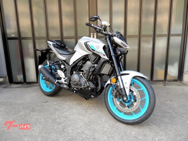 Yamaha MT-03(320cc) LED - USB ABS 2025 — фото 1, купить с доставкой в Москву