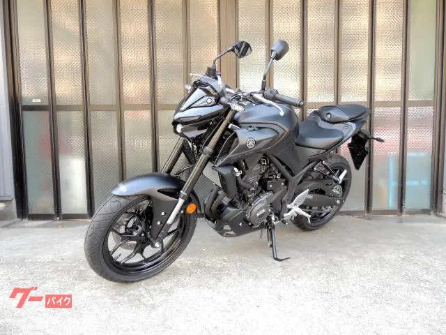 Yamaha MT-25 LED - RG95J 2025 — миниатюра 2