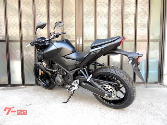 Yamaha MT-25 LED - RG95J 2025 — миниатюра 3