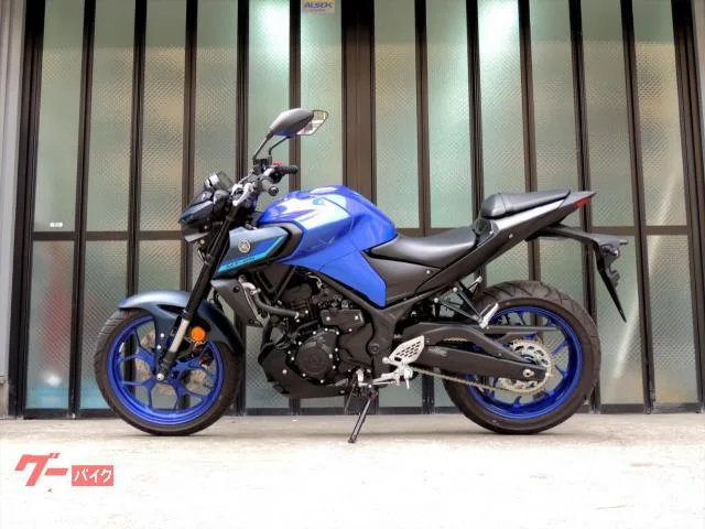 Yamaha MT-25 ABS LED RG74J 2024 — миниатюра 2