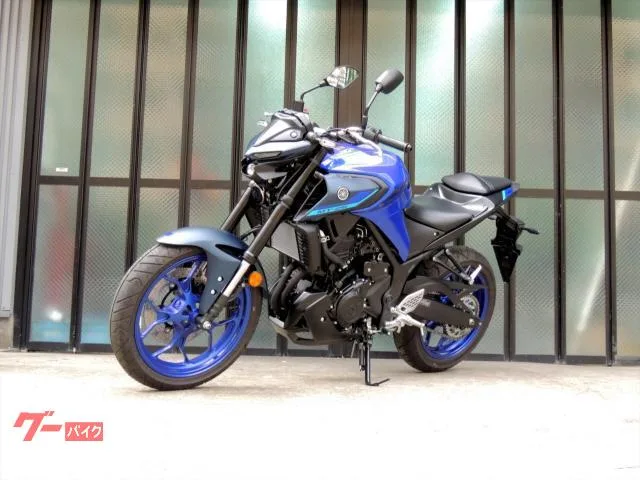 Yamaha MT-25 ABS LED RG74J 2024 — миниатюра 4