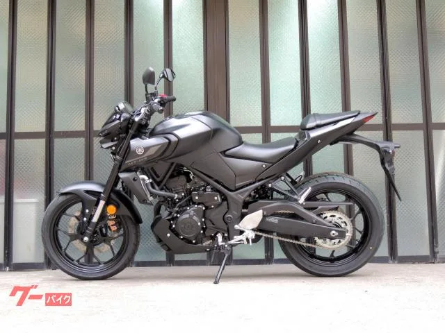 Yamaha MT-03(320cc)ABS ETC2.0 LED 3 2024 — миниатюра 2