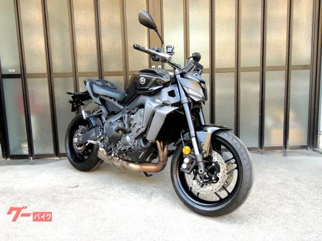 Yamaha MT-09 Y-AMT LED2 3 TFT5 RN88J 2024 — фото 1, купить с доставкой в Москву