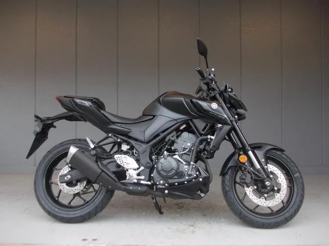 Yamaha MT-25ABS RG95J 2025 — миниатюра 2