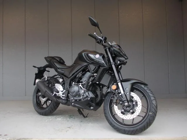 Yamaha MT-25ABS RG95J 2025 — фото 1, купить с доставкой в Москву
