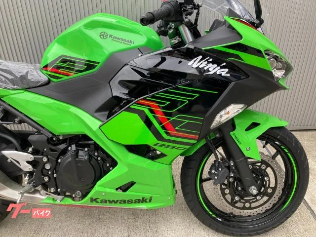 Kawasaki Ninja 250ABS KRT 2023 — миниатюра 5