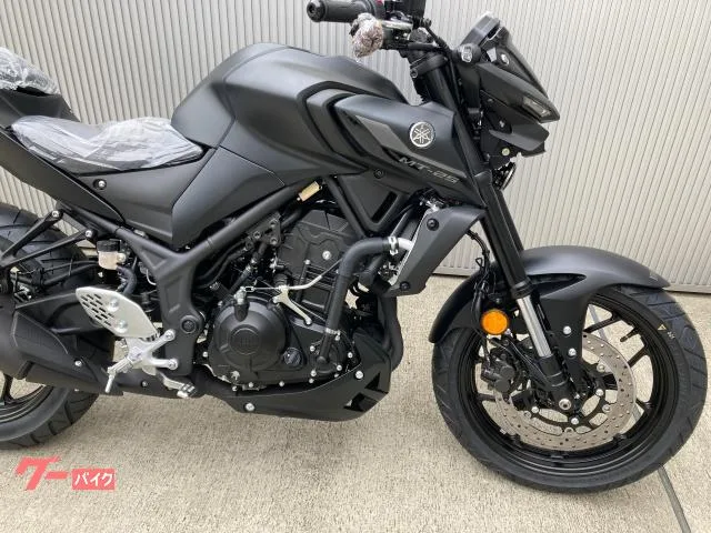 Yamaha MT-25ABS 2023 2023 — миниатюра 3