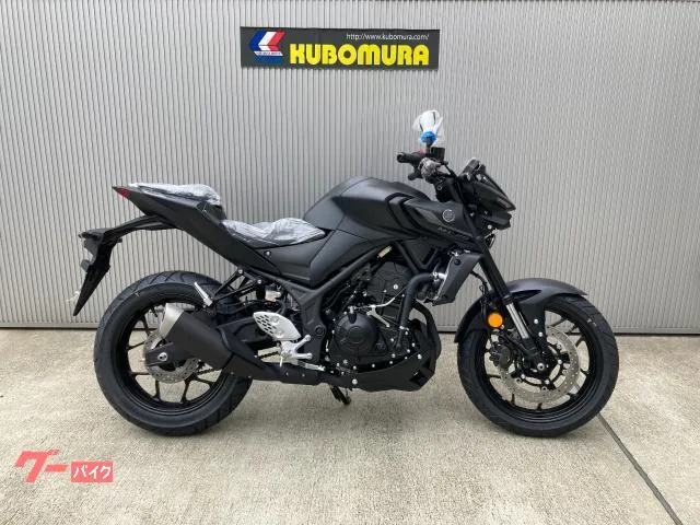 Yamaha MT-25ABS 2023 2023 — фото 1, купить с доставкой в Москву