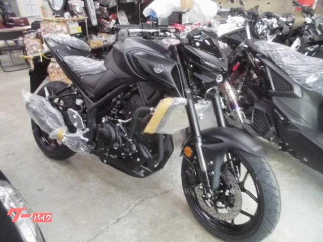 Yamaha MT-25 2023 — фото 1, купить с доставкой в Москву