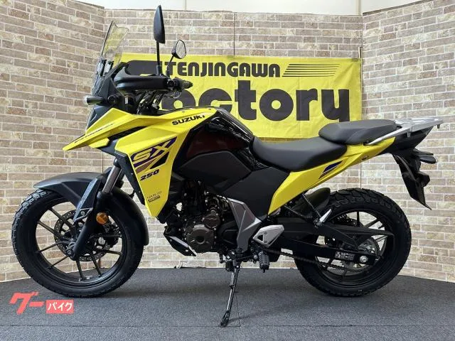 Suzuki V- 250SX M5 19 USB 2025 — миниатюра 5