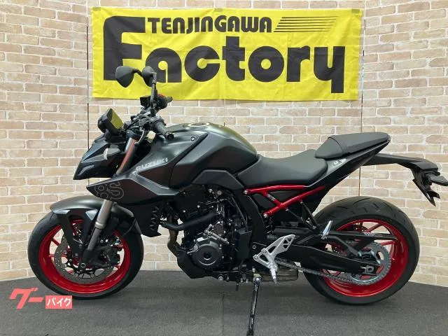 Suzuki GSX-8S M5 5TFT RPM 2025 — миниатюра 2