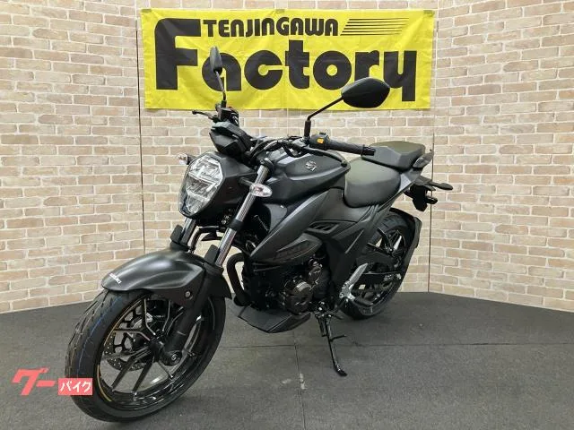 Suzuki GIXXER 250 ESP 2025 — миниатюра 4