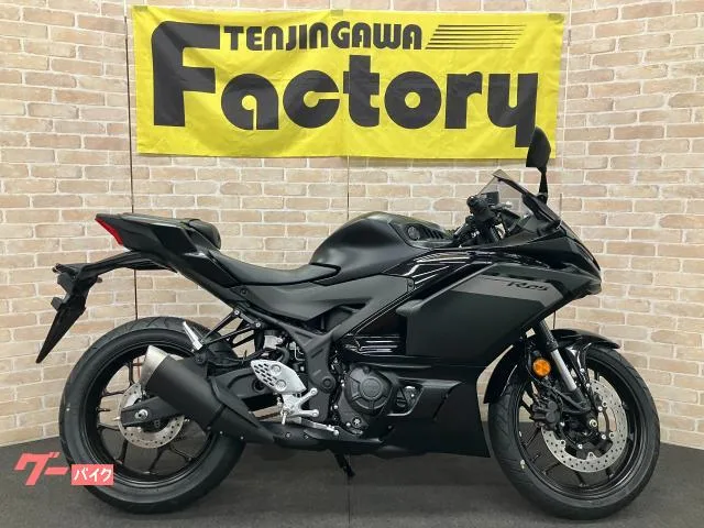 Yamaha YZF-R25 LED 2025 — фото 1, купить с доставкой в Москву