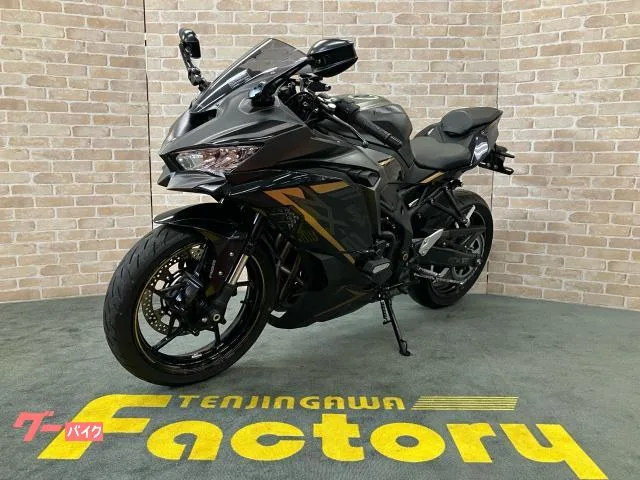 Kawasaki Ninja ZX-25R SE LED ETC USB 2022 — миниатюра 4