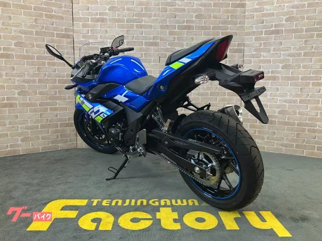 Suzuki GSX250R M4 LED 42SEP 2024 — миниатюра 3