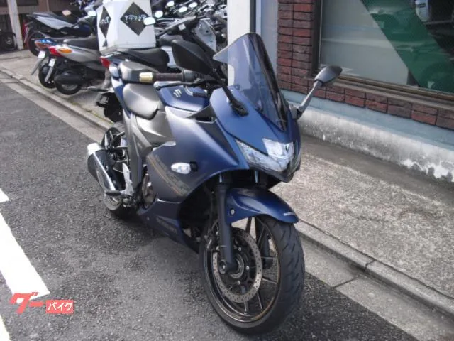 Suzuki GIXXER SF 250 2023 — миниатюра 2
