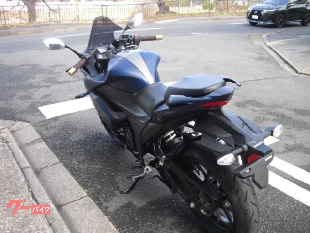 Suzuki GIXXER SF 250 2023 — миниатюра 5