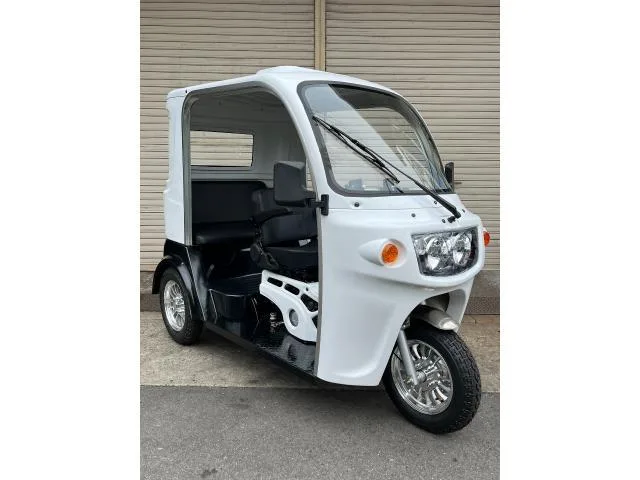 Trike AP 125 3 2024 — миниатюра 2
