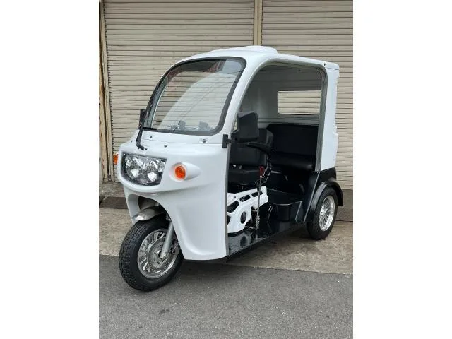 Trike AP 125 3 2024 — миниатюра 3
