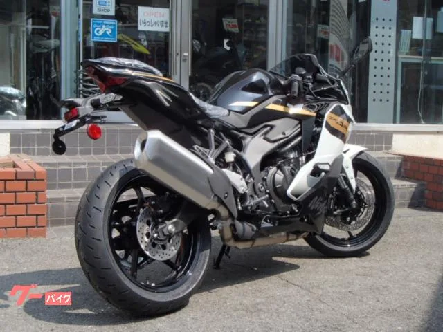 Kawasaki Ninja ZX-4R SE 2026 — миниатюра 3